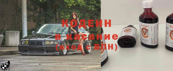 стаф Кущёвская