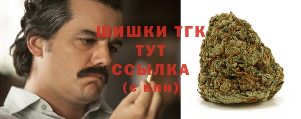 2c-b Инсар