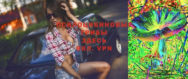 дмт Александровское