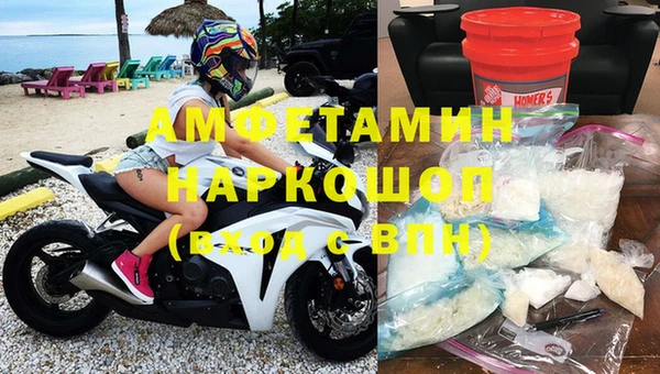 стаф Кущёвская