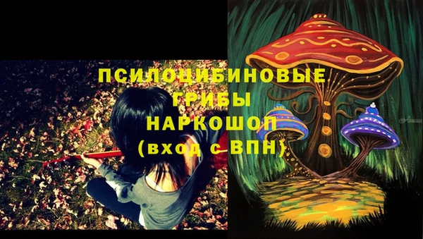 марихуана Инта