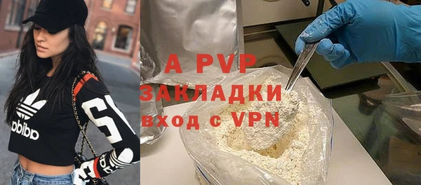 мдпв Каменка