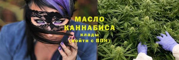 2c-b Инсар