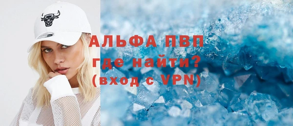 стаф Кущёвская