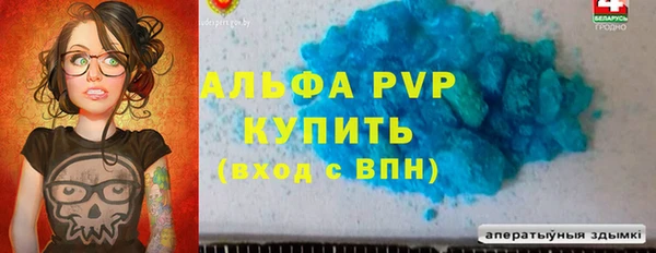стаф Кущёвская