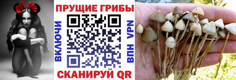 Купить закладки  Мирный  Галлюциногенные грибы Psilocybine cubensis 